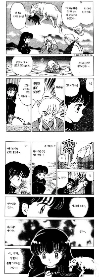 犬夜叉の謎の母親