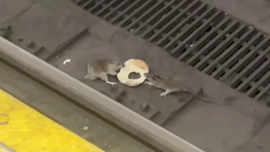 (SOUND)ニューヨークの地下鉄でのもう一つの戦い.mp4