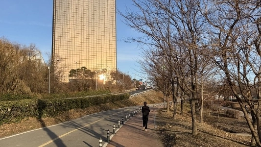 汝矣島サツマイモ18kgラン