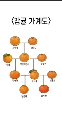 驚くほどミカン科の系図についてはほとんど知られていない