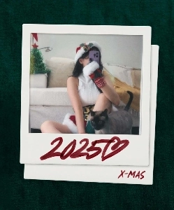 (SOUND)クリスマスに夫のためにイベントを準備する妻