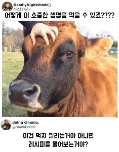 この命をどうやって食べることができますか？