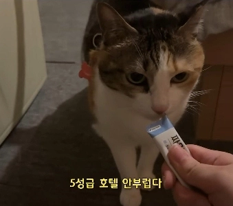 モーテルのレンタルサービス