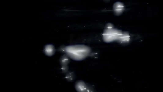 (SOUND)＜ルックバック＞実写予告編