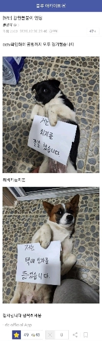 チュドクはチュドク祭りに参加するために江原道からソウルへ行った。