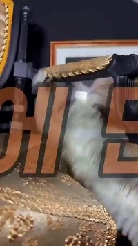 (SOUND)19?何に使われますか?