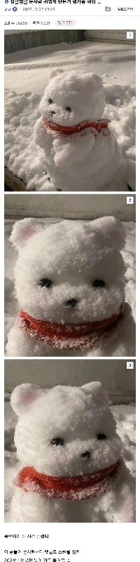 かわいい雪だるまが自慢のDC