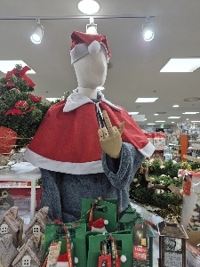 法律を破るマネキン