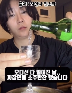 パク・ナレ事件でレギュラーバラエティ番組中止後のホ・アンナの現在