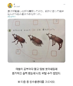 息子が勉強中に大笑いした理由