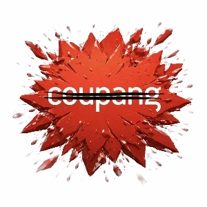 クーパン、財政措置の始まり