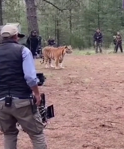 (SOUND)アニマルキングダムの撮影現場