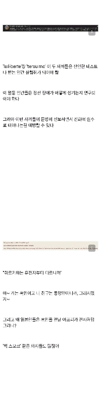 黒人NTR映画に対する黒人男性の反応