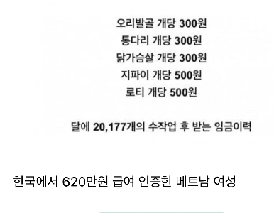 韓国で才能を発掘した外国人たち