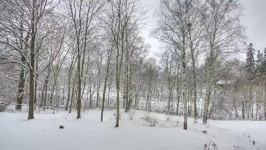 (SOUND)一年の季節の移り変わりがたった40秒でわかる。swf