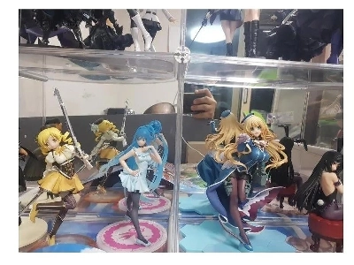 フィギュアの認証と別の何かの認証をしていたオタク。