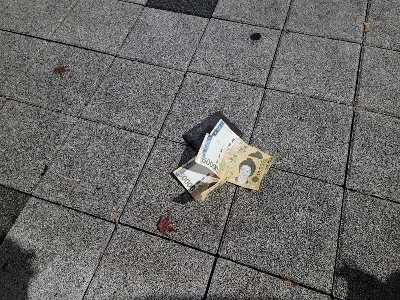 これを拾ってもいいですか？