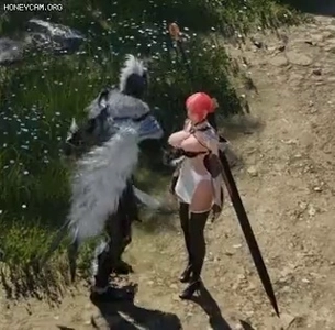 実際、『Aion 2』の女性キャラクターの露出度の高さにより、人々はそれがゲイ ゲームであると言われています。