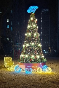 1700万ウォン相当の木だ。ぜひご覧ください。