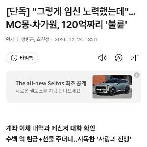 「私は妊娠するために一生懸命努力しました。」 MCモン・チャガウォンの120億ウォン“不倫”