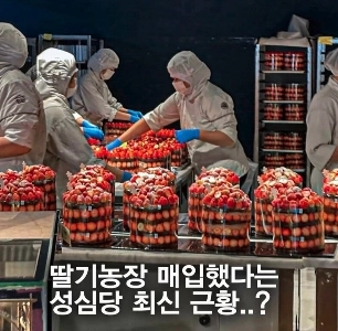 ソンシムダンが選んだイチゴシロップにイチゴをたっぷり入れる方法。JPG