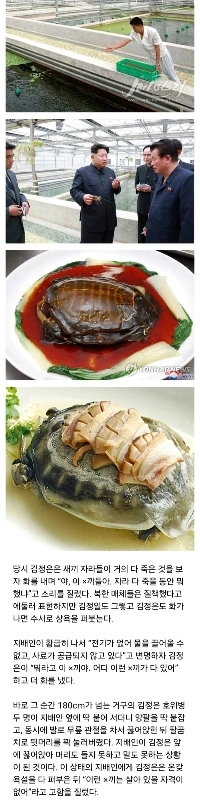 北朝鮮は野生動物の飼育に生死を賭けたと言われている。