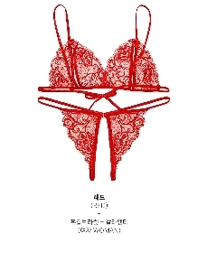 昨日、初めて実物を見ました。