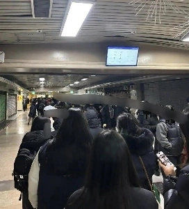 今日の城心堂オープンランの現状