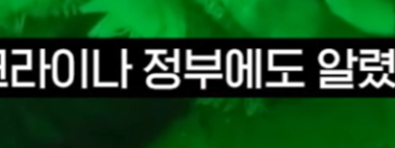 捕虜となった北朝鮮人捕虜「」「韓国に行きたい」「」