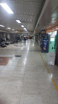 クリスマス聖心オープンランステータス