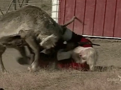 【速報】サンタ・ルドルフ労使協力決裂