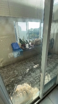 (SOUND)カメの部屋の掃除