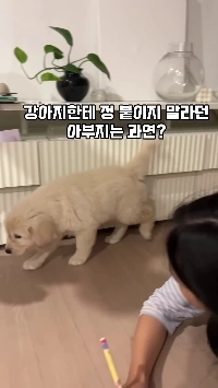 (SOUND)拾った子犬は返すから許さないと言った父親。mp4