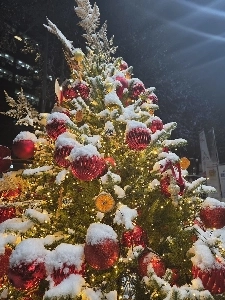 1,700万ウォンのツリーを見て、今度は160万ウォンのクリスマスツリーを買うことにしました。