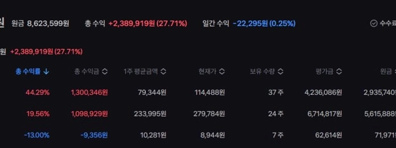 米国株を毎月積立（？）してきた1年間が終わりました。