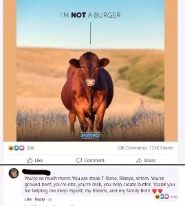 私はハンバーガーではありません