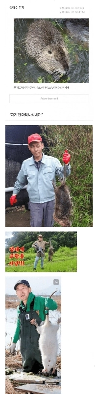 げっ歯類はルッキズムの最大の受益者であり被害者です。