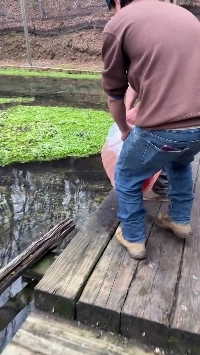 (SOUND)魚はとても高価に見えます。