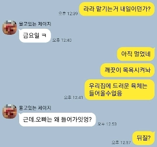 私は数日間兄の犬の世話をすることにしました。