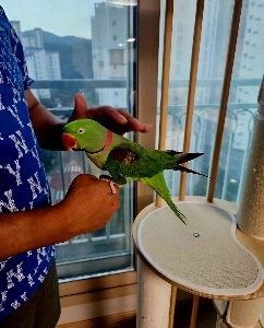 2025年メブルショー寄付総額「」「4億26万ウォン」「」「2億は商売の神様！」