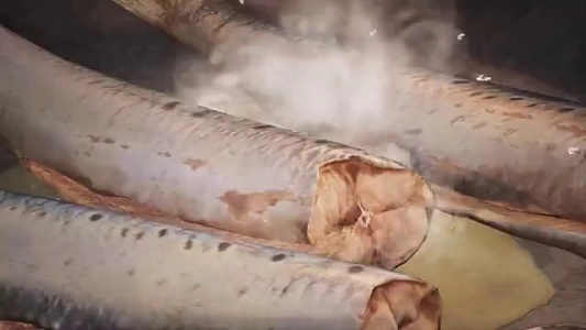 (SOUND)山で火を起こして料理をした子の末路