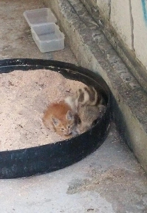 出張中に叔父から送られてきた写真