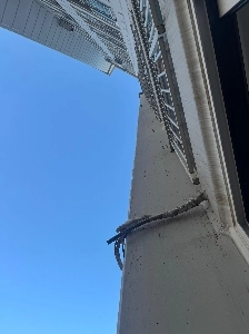 上の家はゴミを捨て続けています…