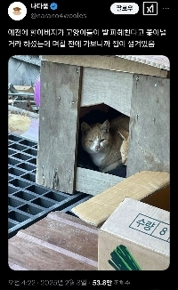 おじいさんは畑を掘り返した猫を追い払ってあげると言った。