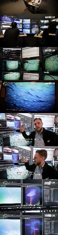 なぜ最近サケの寄生虫の心配がなくなったのか