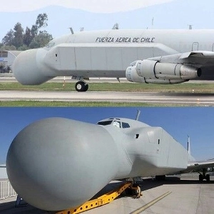 蜂に刺された飛行機