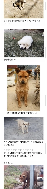 田舎への出張中にクマに出会った話。