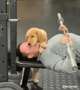 ジムのオープンアクセス