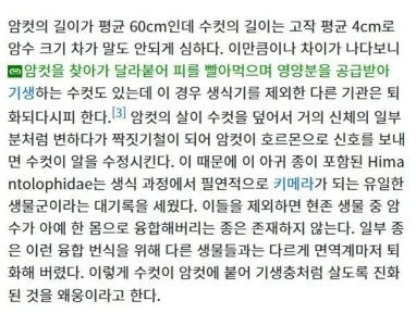 生涯を妻に寄生して生き、精子だけを提供する動物。科学