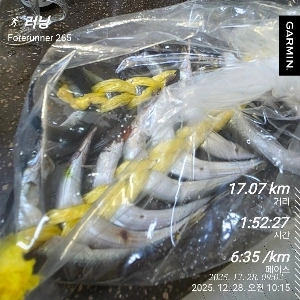 17k LSD ヤンミリ ラン